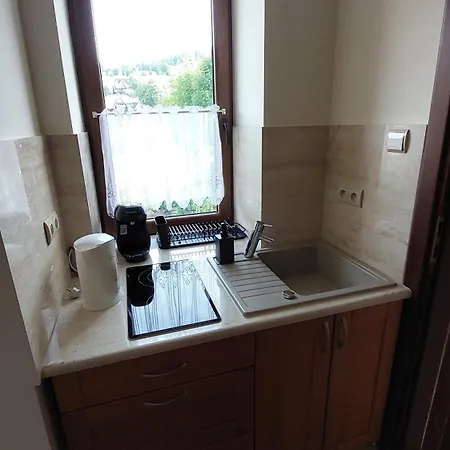 Poziom 986 Lejlighedshotel Kościelisko